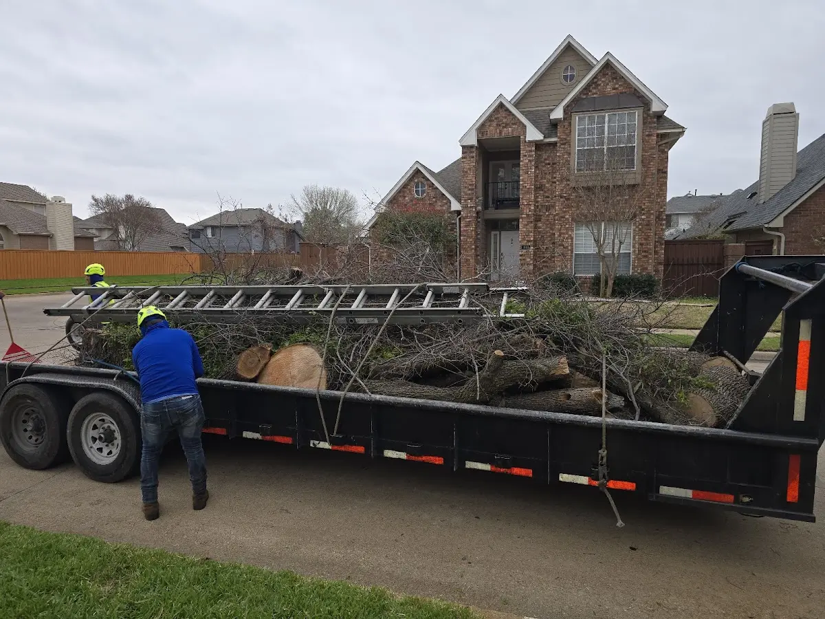 Expert Tree Fertilization with proper safety equipment in Birch Run